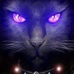 Meet your Posher, Lindy